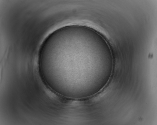 X0000103261506200809051431