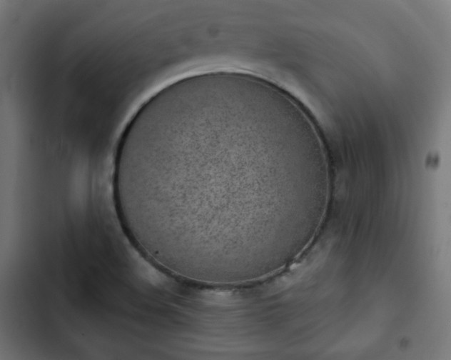 X0000103261508200809051431