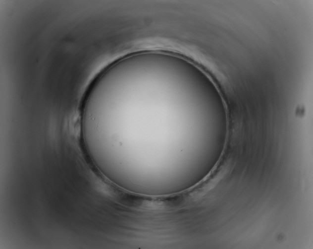 X0000103261509200809051431