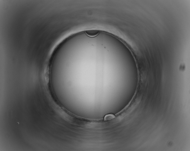 X0000103261510200809051431