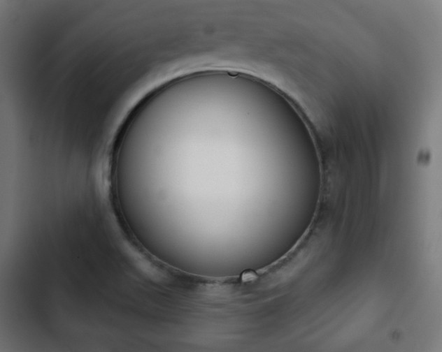 X0000103261511200809051431