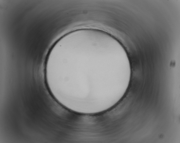 X0000103261514200809051431