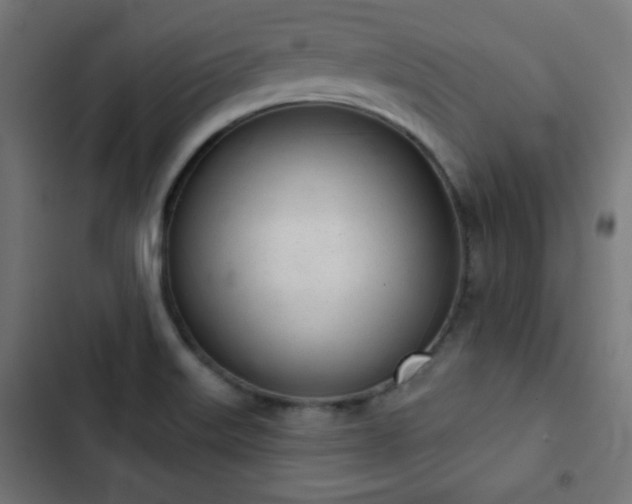 X0000103261515200809051431