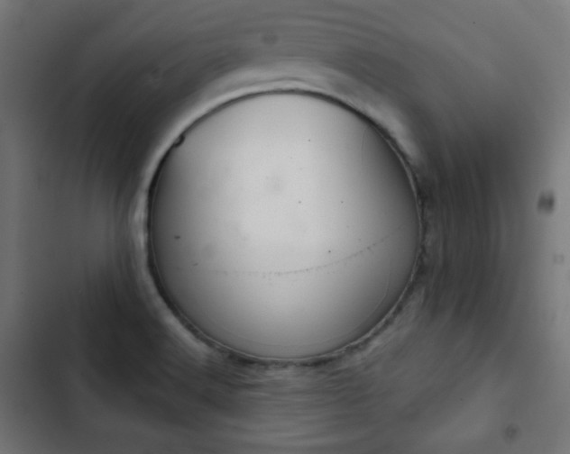 X0000103261516200809051431