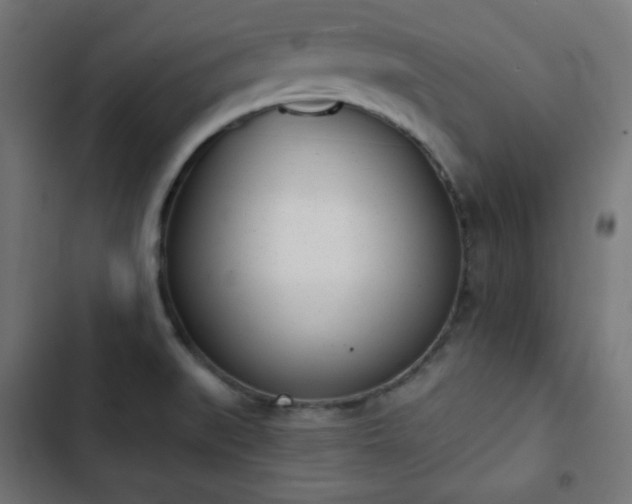 X0000103261519200809051431