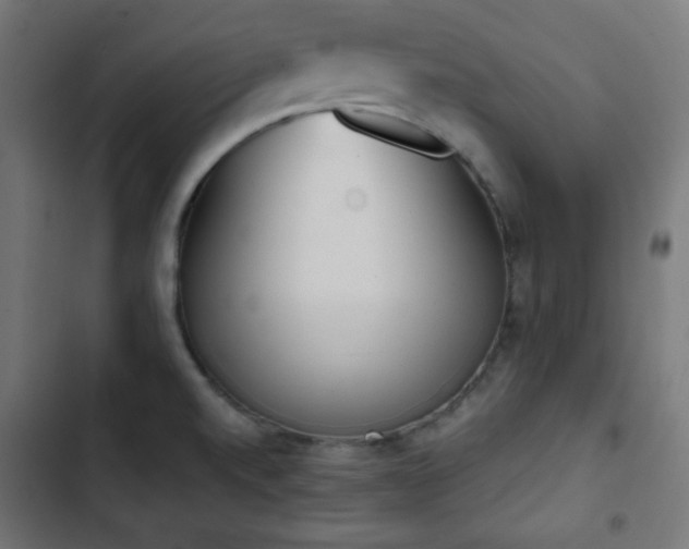 X0000103261520200809051431