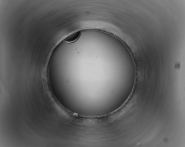 X0000103261521200809051431