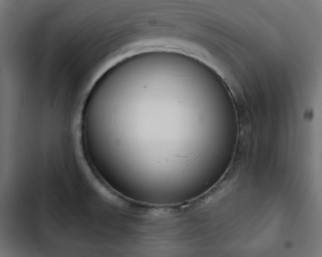 X0000103261523200809051431