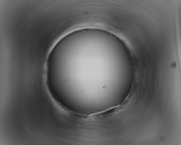 X0000103261524200809051431