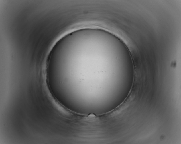 X0000103261526200809051431