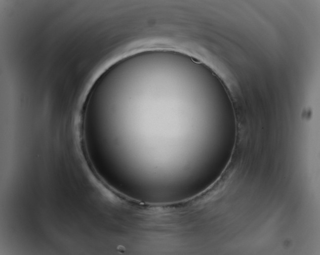 X0000103261527200809051431