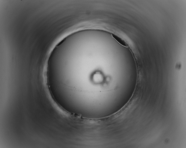 X0000103261528200809051431