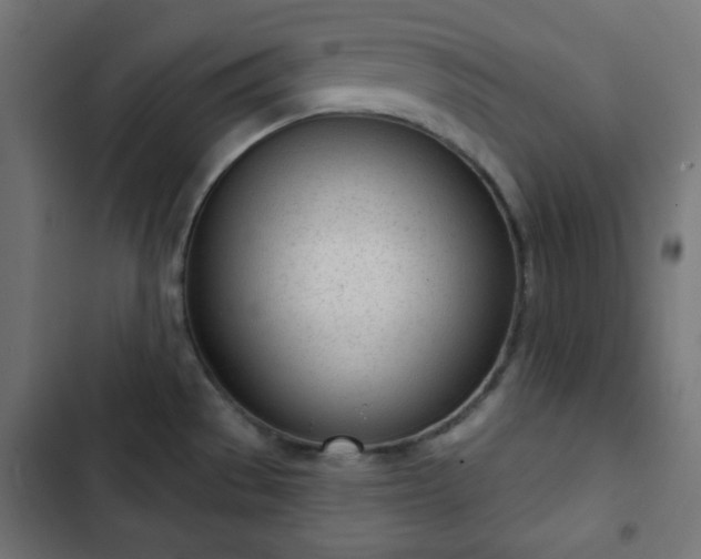 X0000103261529200809051431