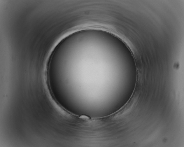 X0000103261531200809051431