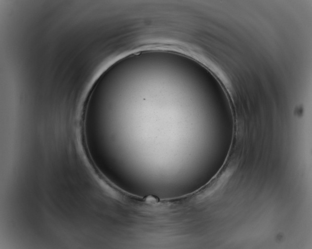 X0000103261533200809051431