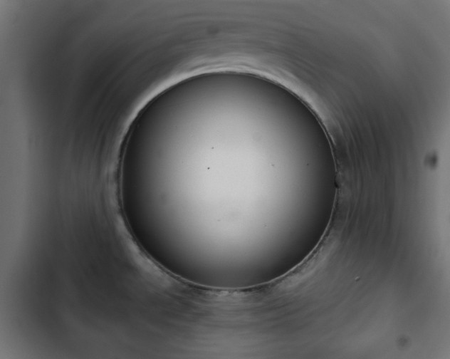 X0000103261534200809051431