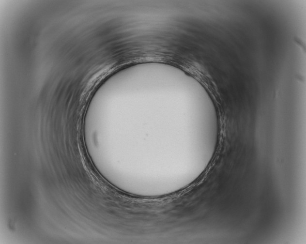 X0000103260001200809121933