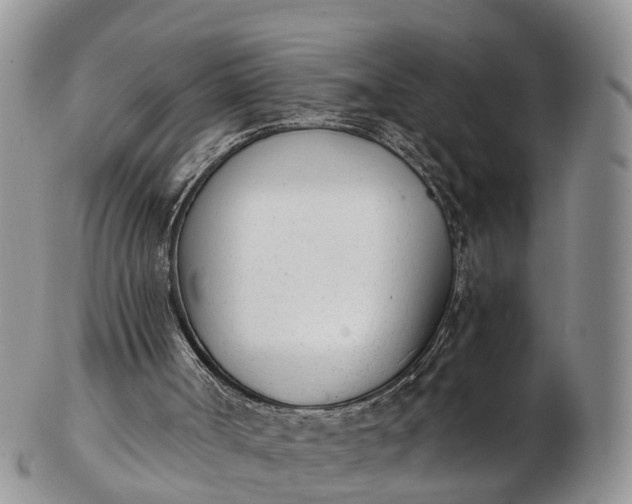 X0000103260002200809121933