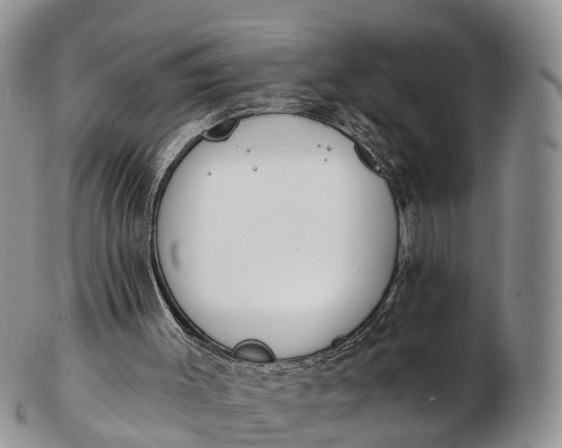 X0000103260003200809121933