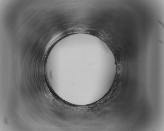 X0000103260004200809121933