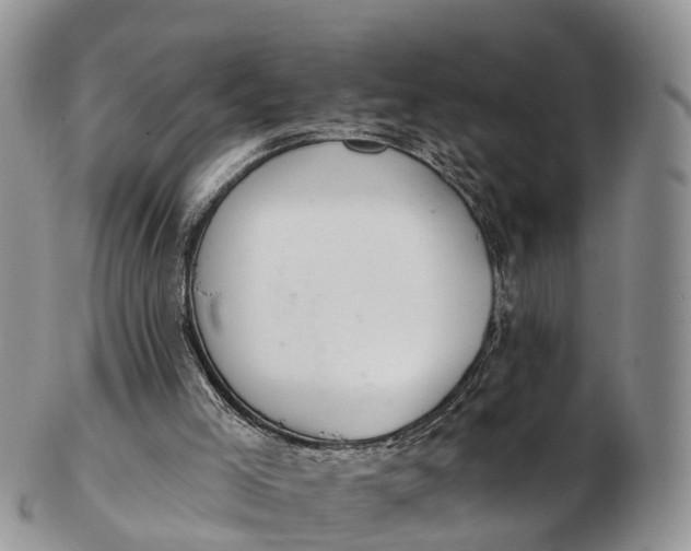 X0000103260005200809121933