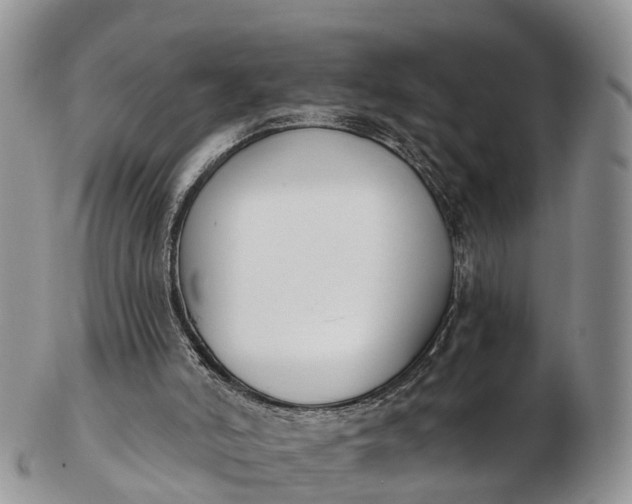 X0000103260006200809121933