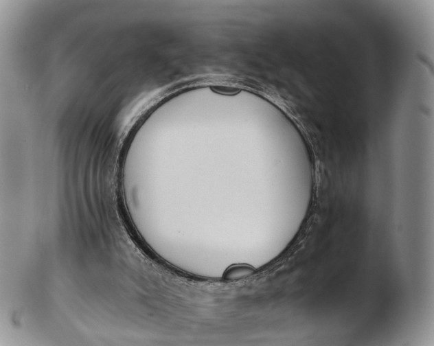 X0000103260007200809121933