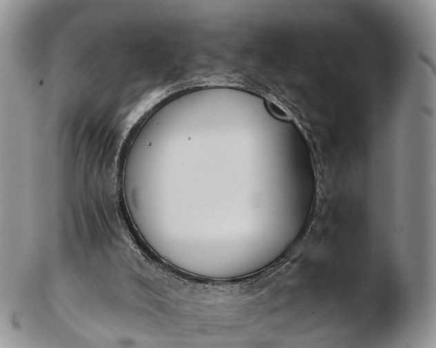 X0000103260008200809121933