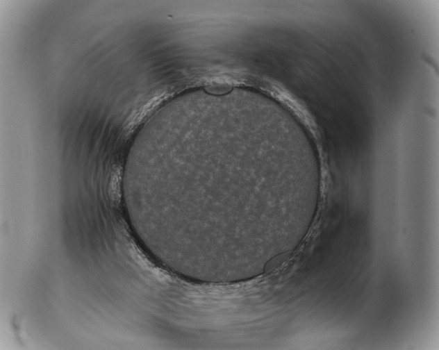 X0000103260009200809121933