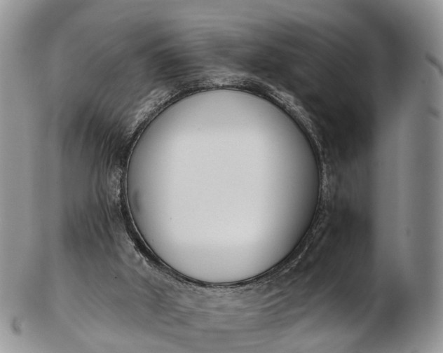 X0000103260010200809121933