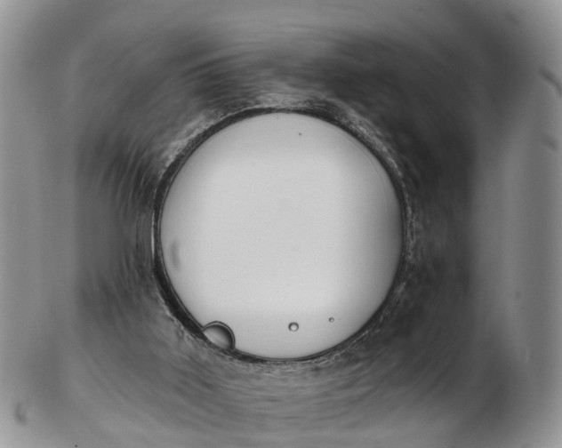 X0000103260011200809121933