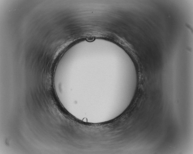 X0000103260012200809121933