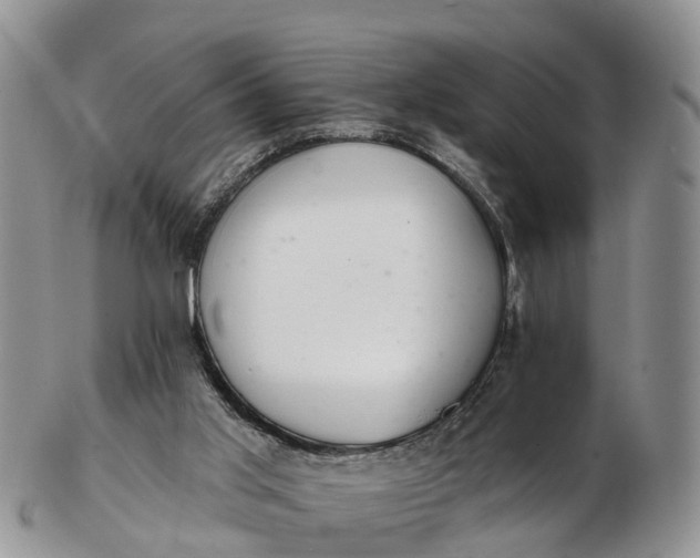 X0000103260013200809121933