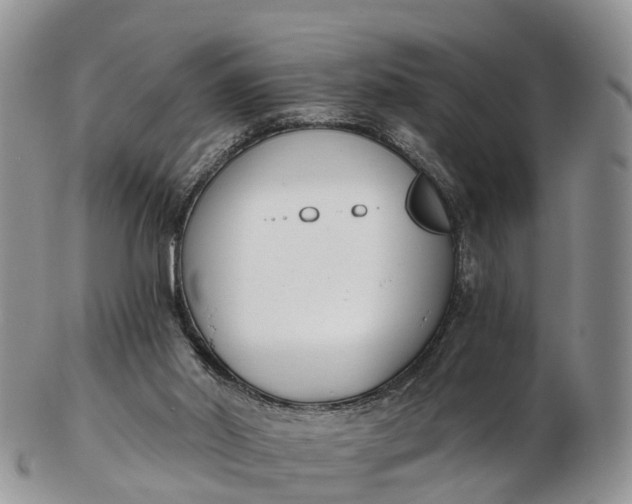 X0000103260014200809121933