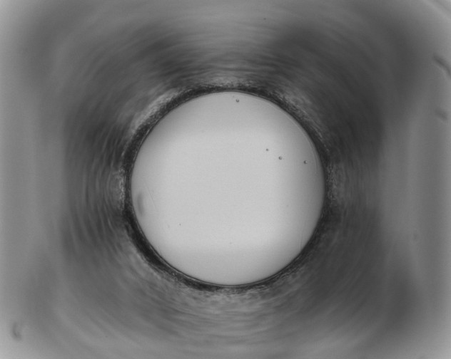 X0000103260016200809121933