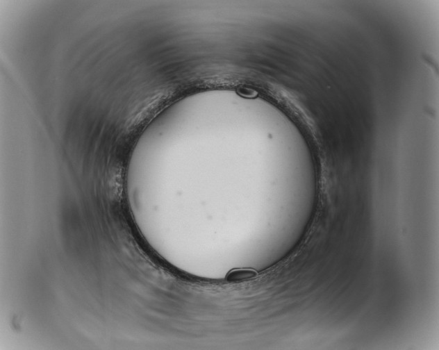 X0000103260017200809121933