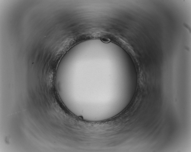 X0000103260018200809121933