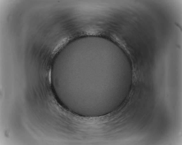 X0000103260019200809121933