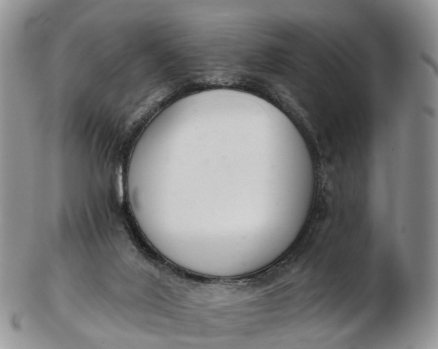 X0000103260020200809121933