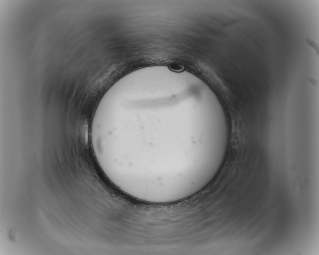 X0000103260021200809121933