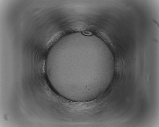 X0000103260023200809121933