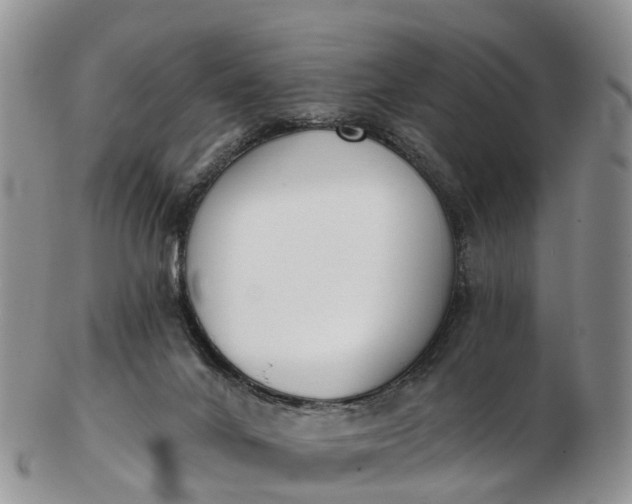 X0000103260024200809121933