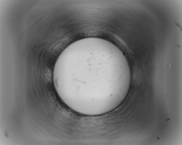 X0000103260025200809121933