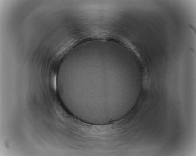 X0000103260027200809121933