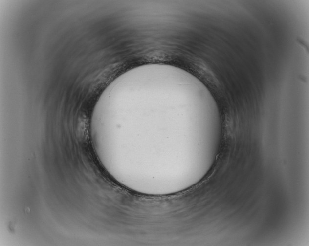 X0000103260029200809121933