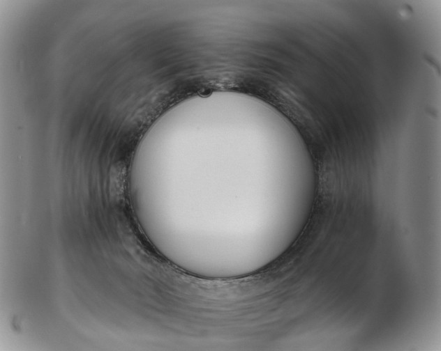 X0000103260030200809121933