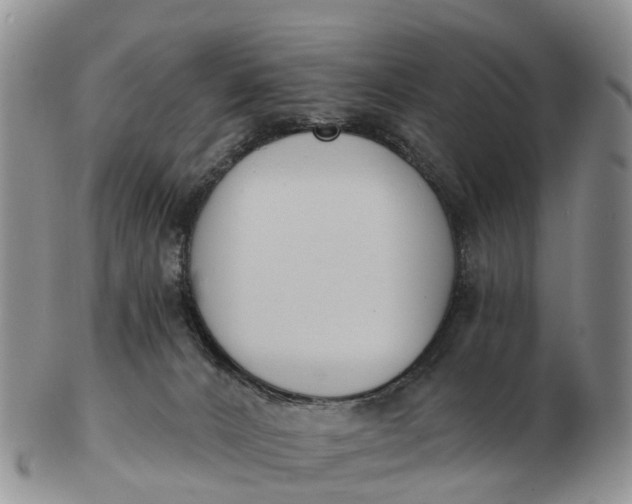 X0000103260032200809121933