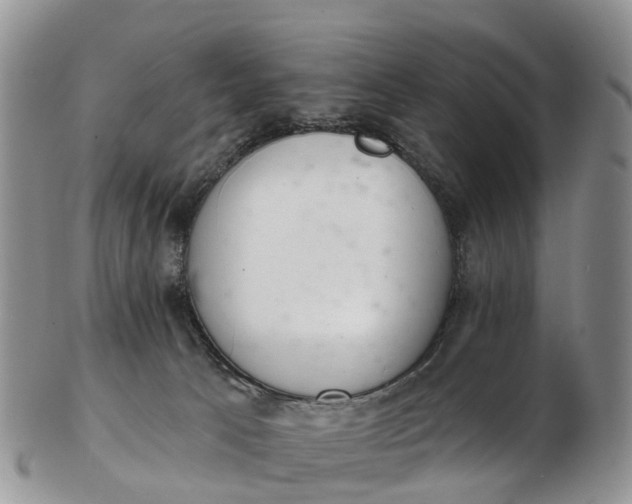 X0000103260033200809121933