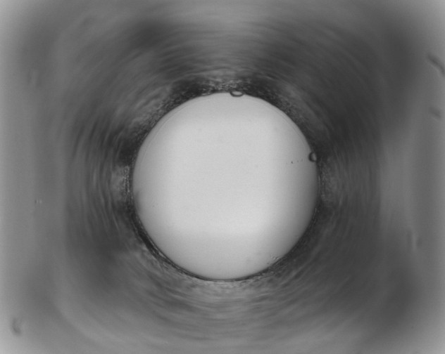 X0000103260034200809121933