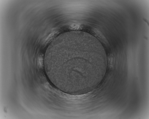 X0000103260035200809121933